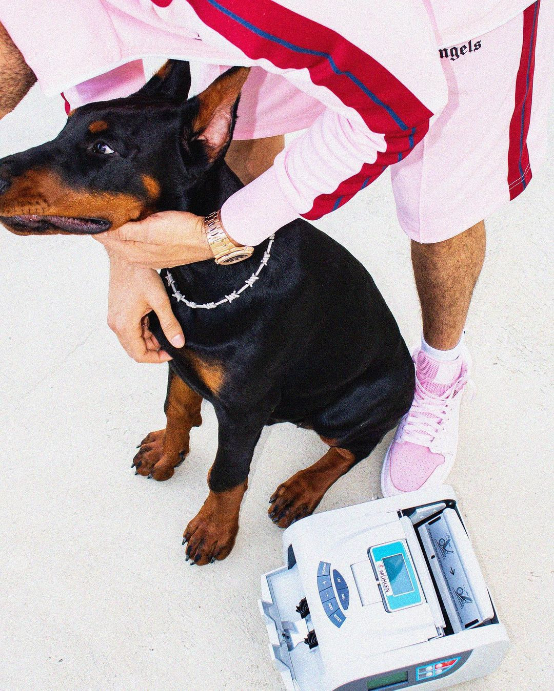 Şarkıcı Reynmen'in köpeğinin ısırdığı kurye yaralandı