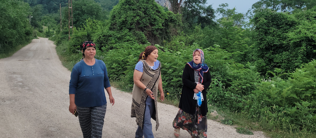 Bir mahalleyi ayı korkusu sardı: “Evlerimizden çıkamıyoruz”