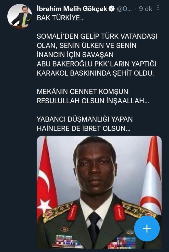 melih-cokcek