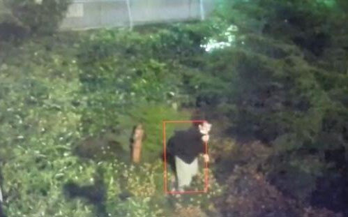 Aleyna Tilki'nin saplantılı hayranından şoke eden iddialar