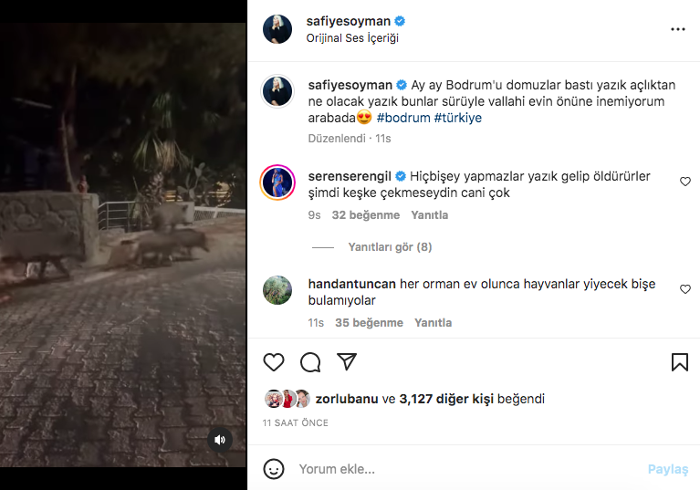 SAFİYE SOYMAN