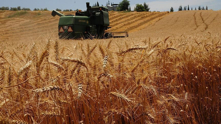 Tarım ve Orman Bakanlığı harekete ge&ccedil;ti! Kuraklığa karşı eylem planları oluşturuldu