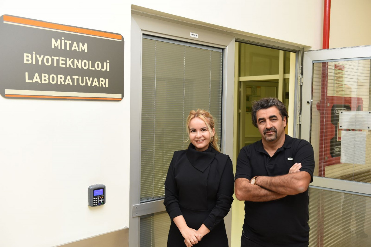 İncirin raf &ouml;mr&uuml; soğan kabukları ile uzatılacak