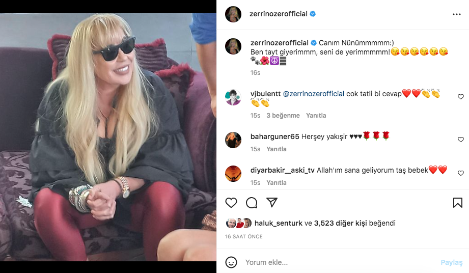 zerrin &ouml;zer