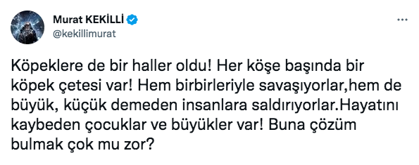 murat kekilli