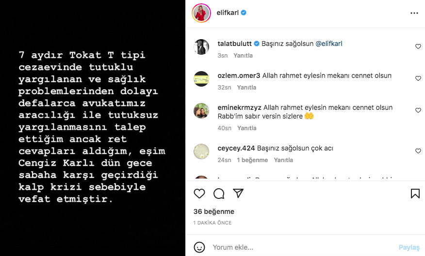 elif karlı