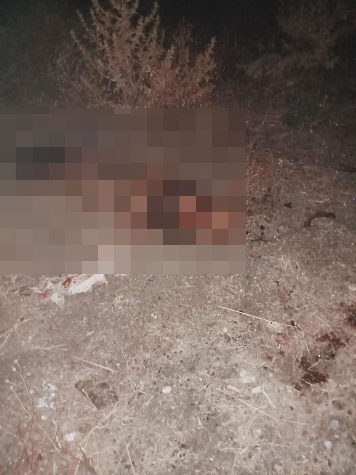 Fotoğraf ekibimiz tarafından buzlanmıştır...