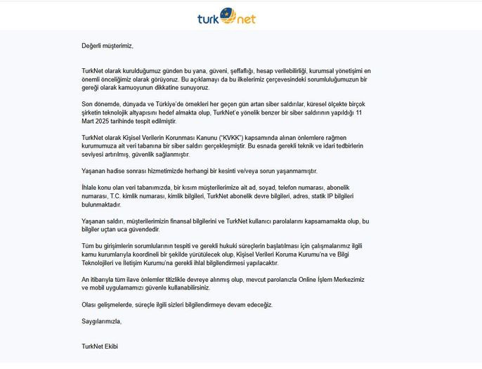 Türknet saldırı